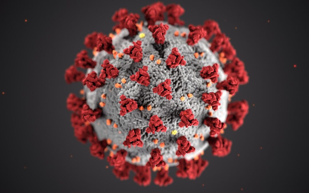 Coronavirus – aktuelle Informationen aus Ihrer Region